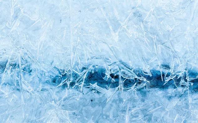 O Caso da Criogenia: Direito ao Cadáver e Tutela Post Mortem da Autodeterminação Corporal